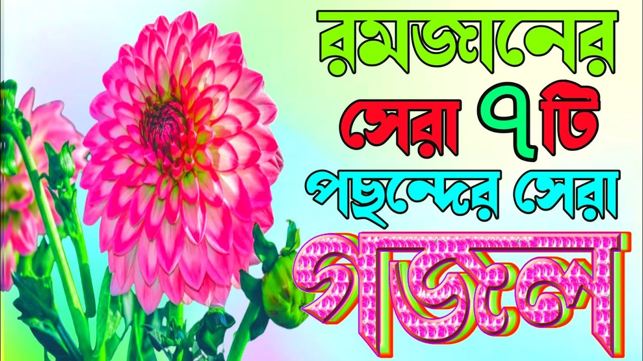 Islamic best Romzaner gojol এই গজলটি একবার শুনেন আপনার কলিজা শুকিয়ে যাবে |Asadul new gojol 