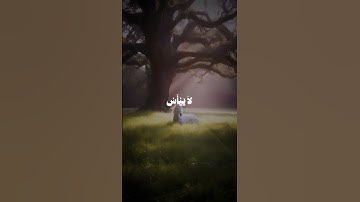 سورة يوسف | الآية 87.