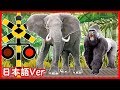 【Animal's name 電車 踏切】★①隠れている動物の名前 わかるかな?★ Fun railroad crossing animation for children