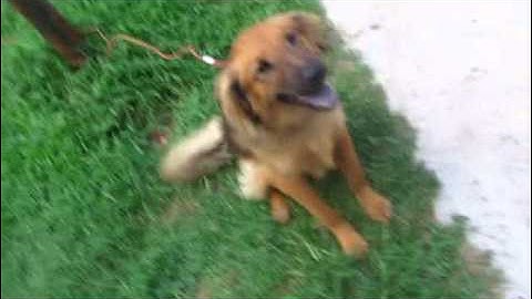 What Is Your Favorite Actor?