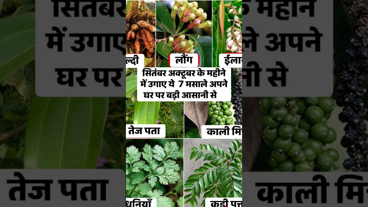 #satisfying farming 🌿