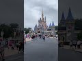 #distok #disney #disneyworld #50thanniversary #Shorts #ashleeboldingreads