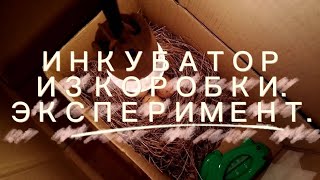 ИНКУБАТОР ИЗ КОРОБКИ. ЭКСПЕРИМЕНТ. ЖДУ ЦЫПЛЯТ.