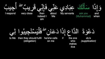 The Quran-Al-Baqarah(186) - Muhammad Al-Luhaidan |  القرآن - محمد اللحيدان  سورة البقره ايات  - ١٨٦