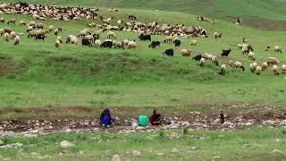 Bejne le bejne (özel Kürt şarkısı) Resimi