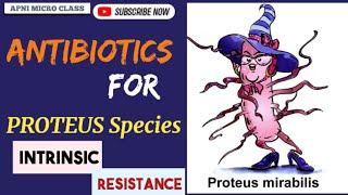 Drugs for PROTEUS Species | Intrinsic resistance | Treatment of UTI