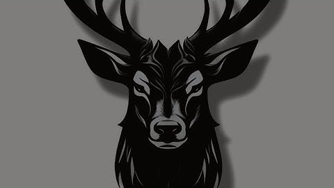 MADBUCKSPORTS | 2024 AFL PREDICTIONS