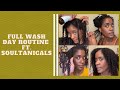 Full Wash Day Routine Ft. Soultanicals Products!