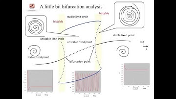PD Tutorial 1-3: FitzHugh-Nagumo model on PhysioDesigner