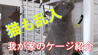 我が家のケージ紹介　猫も出るよ