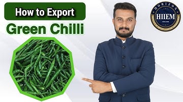 How to Export G4 Green Chilli, Exported by Sagar Agravat