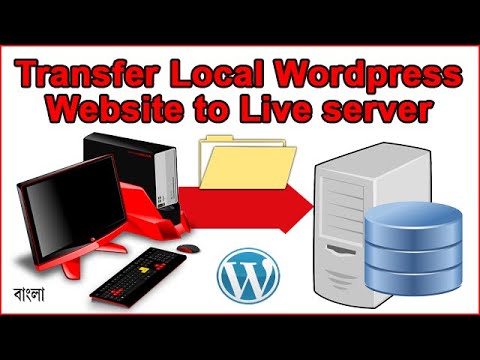 How to Transfer WordPress Website from Localhost to Live Server ...