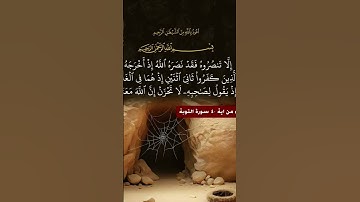 #سورة_التوبة #قرآن #قران_كريم #قيام_الليل #قران #قراءة #تلاوة_خاشعة #تلاوة_هادئة #تلاوة #quran