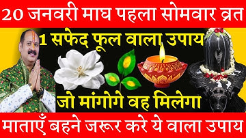 20 जनवरी माघमास पहले सोमवार को 1 सफेद फूल वाला उपाय जरूर करे || Pradeep Ji Mishra