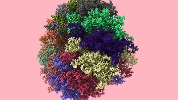 First #CryoEM structures from #HendrixVirus genus