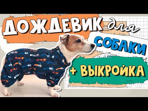 Сшить комбинезон для той терьера своими руками выкройки