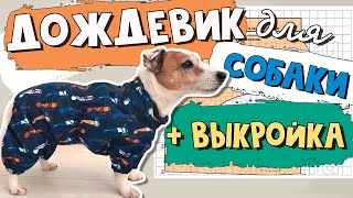 DIY raincoat for a DOG. Raincoat pattern for a dog