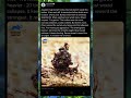 🐜⚔️ “Nature’s Tiny Warrior” #nature #animals #insects #shorts