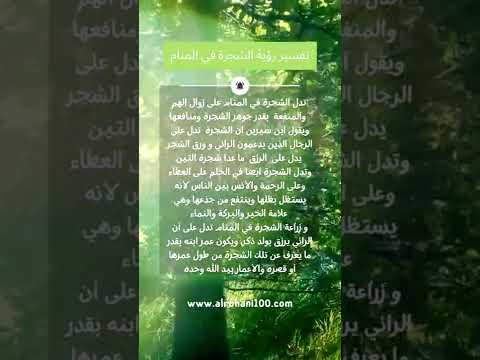 تفسير رؤية الشجرة في المنام تفسير أحلام مباشر تفسير الأحلام