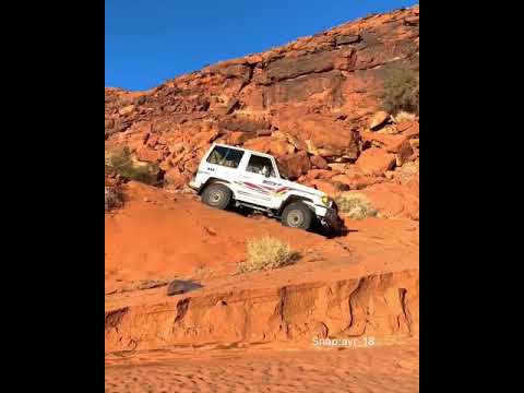 تصميم جيب ربع بريمي 2021 دفلك