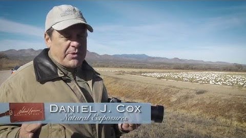 Panasonic Lumix AF Tutorial