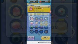 Trying To Befriend Friend Of Eggs