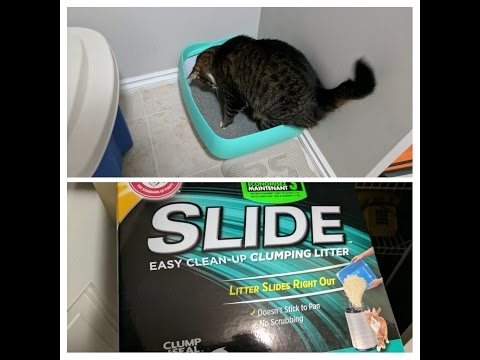 luuup-cat-litter-box-with-arm-&-hammer-easy-clean-slide-clumping-litter