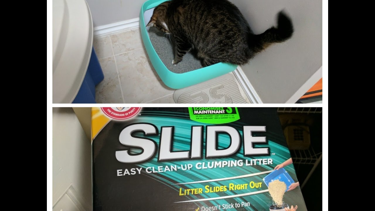 slide litter box