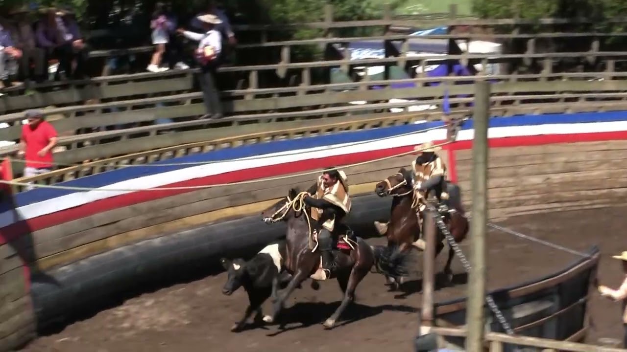 Rodeo Club Ajial - Segunda Serie Libre  22/11/2025