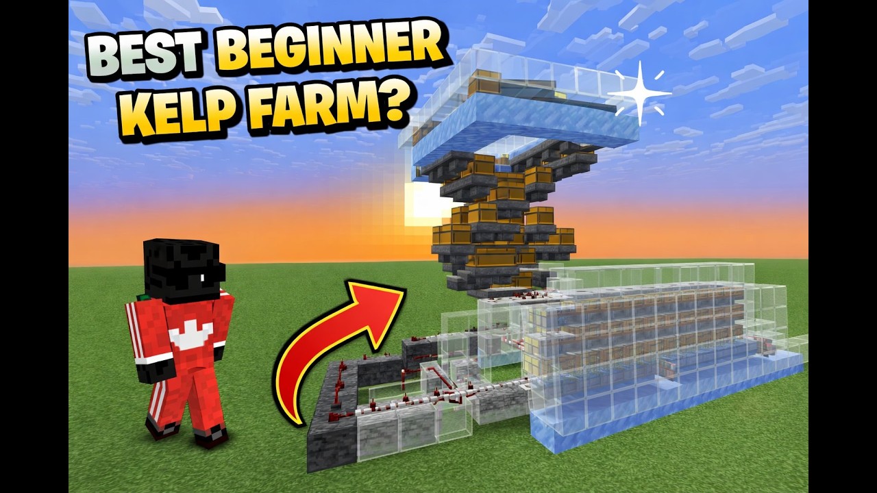 Best beginner kelp farm on the DonutSMP?