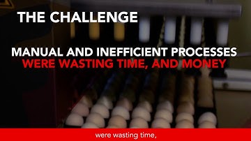 How a 120 million egg supply chain is optimized with Focus ERP Centra CRM Aifa AI ERP CRM WMS MRP