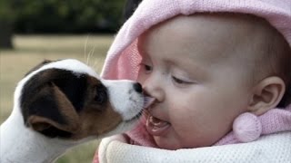 Animals and babies licking and kissing – Funny and cute compilation