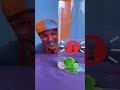 Blippi Plays Sink or Float with Sea Creatures 🪼 #blippi #shorts Blippi Kids Videos