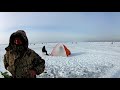 Оторвало людей на льдине # корюшка # Финский залив .