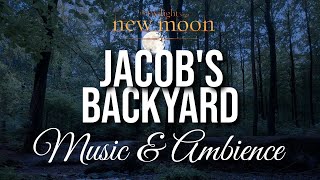 Twilight New Moon Jacob's Backyard Ambient Music Loop For Study, Sleep
