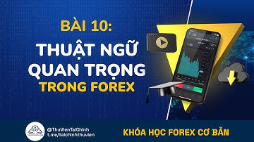 Bài 10: Pip là gì, Ký Quỹ Margin là gì, Giá Bid Ask là gì, Spread là gì ? Thuật Ngữ Forex Quan Trọng