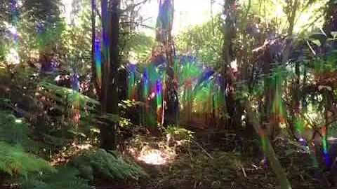 Gary Cook, Secretland, New Zealand