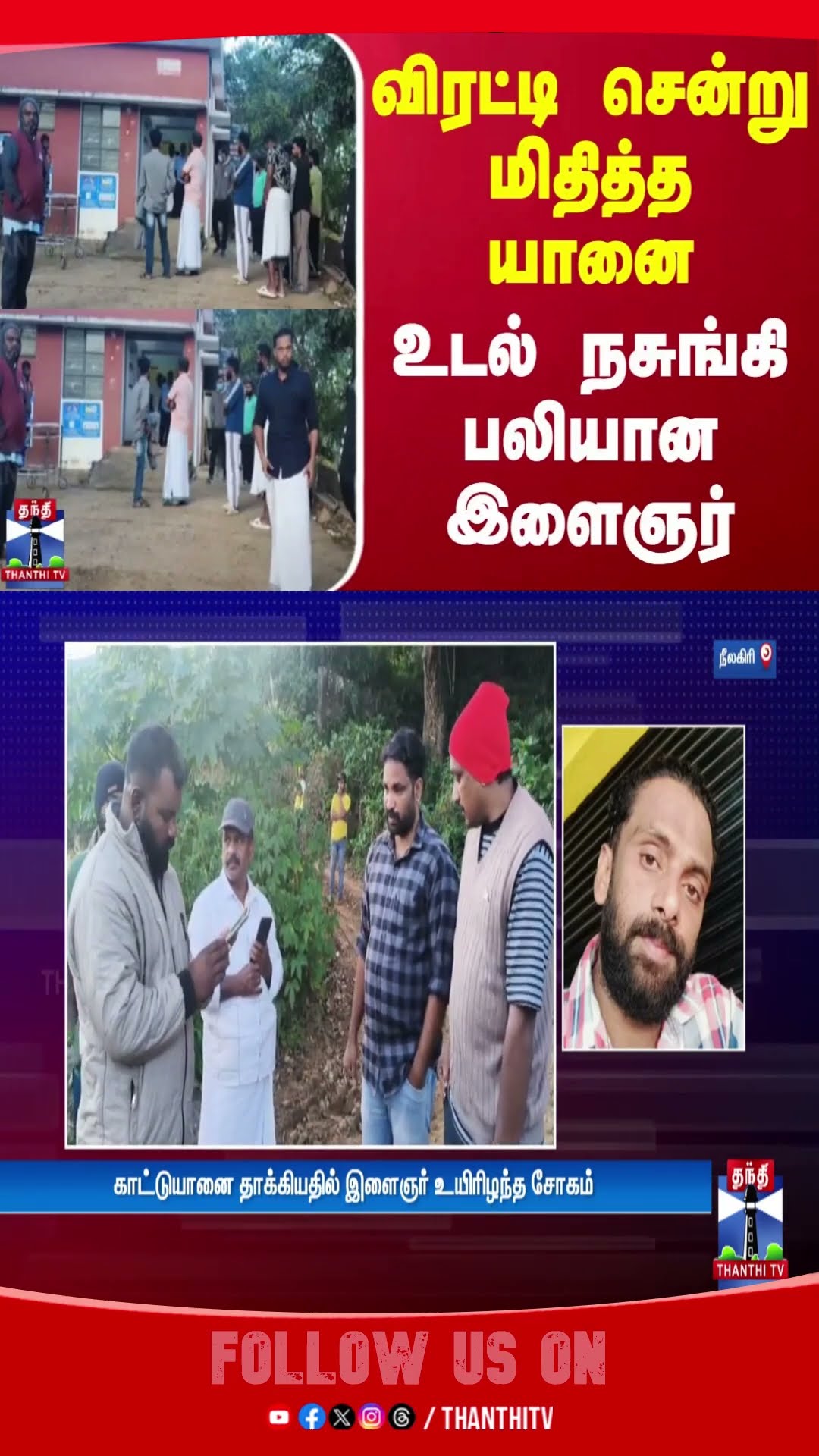 Elephant Attack || Ooty || Attack