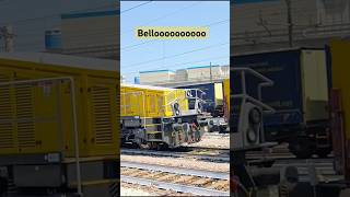 Mai visto 🛑❌💢 #train #milano #trenord #italohits #italy