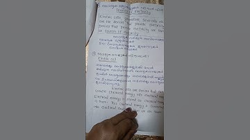 THE WORLD OF ELECTRICITY | BASIC SCIENCE | Chapter 3 | Class 7 | FULL VIDEO ON CHANNEL |