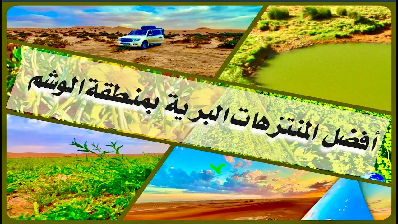 أفضل المنتزهات البرية بمنطقة الوشم