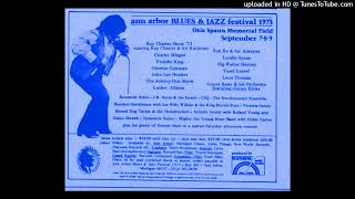 The Honeydripper (Walter Jumps One)   -  Big Walter Horton