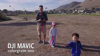 Dji Mavic Pro Colorgrade Test Visualpops