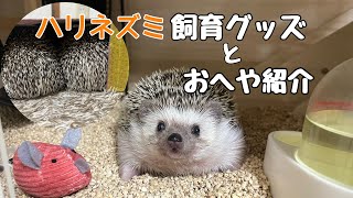 ハリネズミのケージはどれが良い飼育グッズとお部屋紹介 Hedgehog Breeding Goods(merch)and Rooms