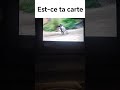 Est-ce ta carte #dieofdeath