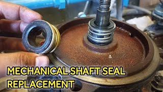 Mechanical Shaft Seal Replacement Water Pump Booster Motor Local Electrician