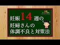 【妊娠14週】この時期の妊婦さんの体調不良と対策方法とは?