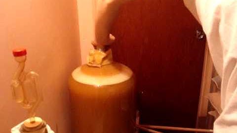 Cider making gone wrong