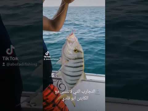 لأجمل رحلات صيد السمك     1 رحلات صيد سمك 