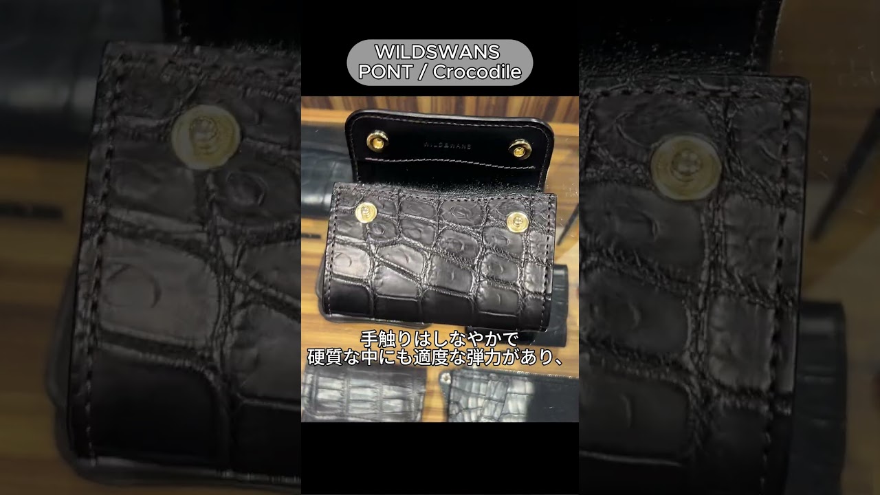 Long-Awaited New Arrival] WILDSWANS Crocodile PONT | A Mini Wallet